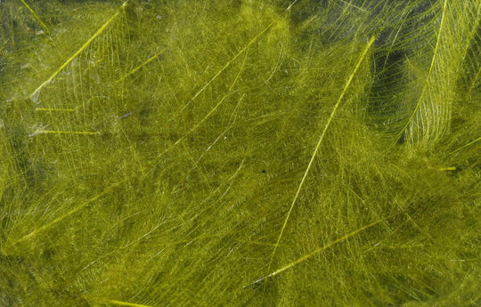 Hareline Cul De Canard | Tailwaters Fly Fishing