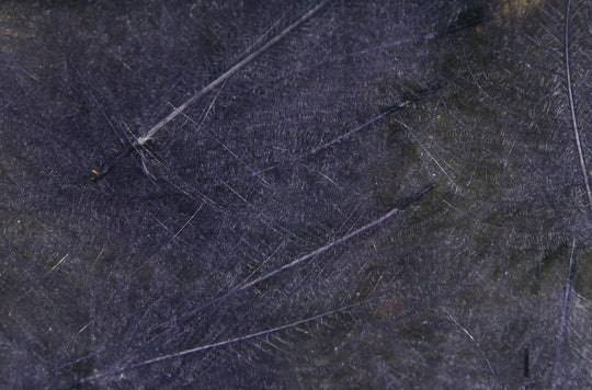 Hareline Cul De Canard | Tailwaters Fly Fishing