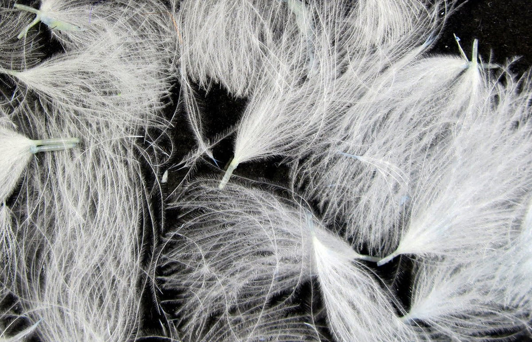 Hareline Cdc Oiler Puffs