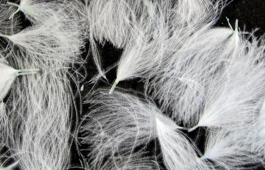 Hareline Cdc Oiler Puffs