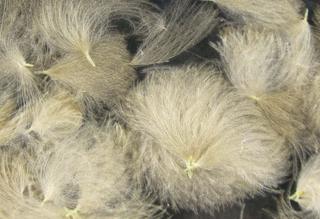 Hareline Cdc Oiler Puffs | Tailwaters Fly Fishing