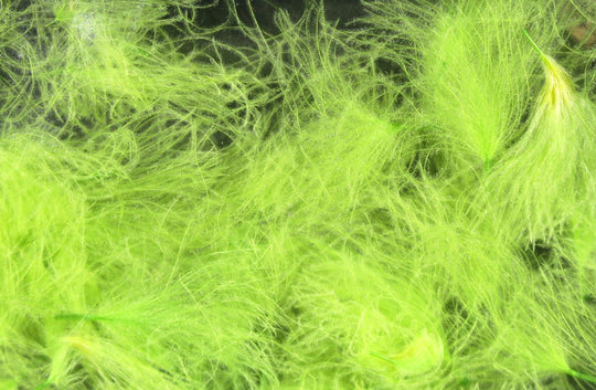 Hareline Cdc Oiler Puffs | Tailwaters Fly Fishing