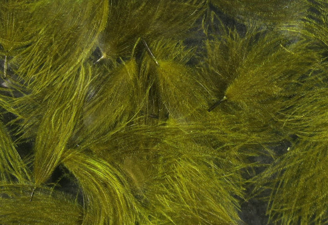 Hareline Cdc Oiler Puffs | Tailwaters Fly Fishing