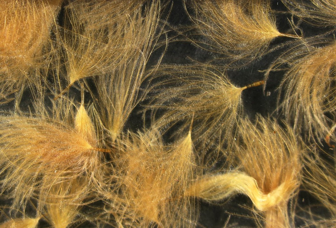 Hareline Cdc Oiler Puffs