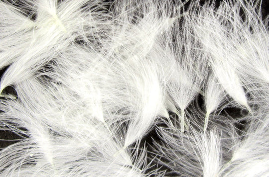 Hareline Cdc Oiler Puffs | Tailwaters Fly Fishing