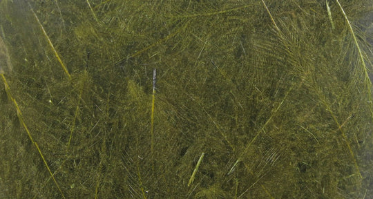 Hareline UV2 Select CDC | Tailwaters Fly Fishing