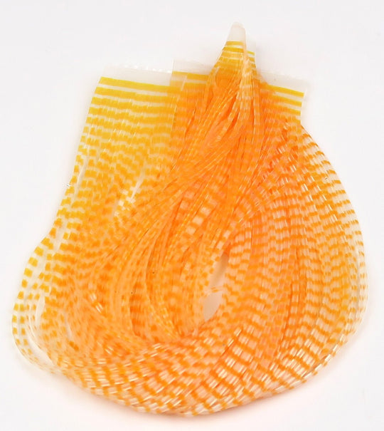 Hareline Chicone's Regular Crusher Legs | Tailwaters Fly Fishing