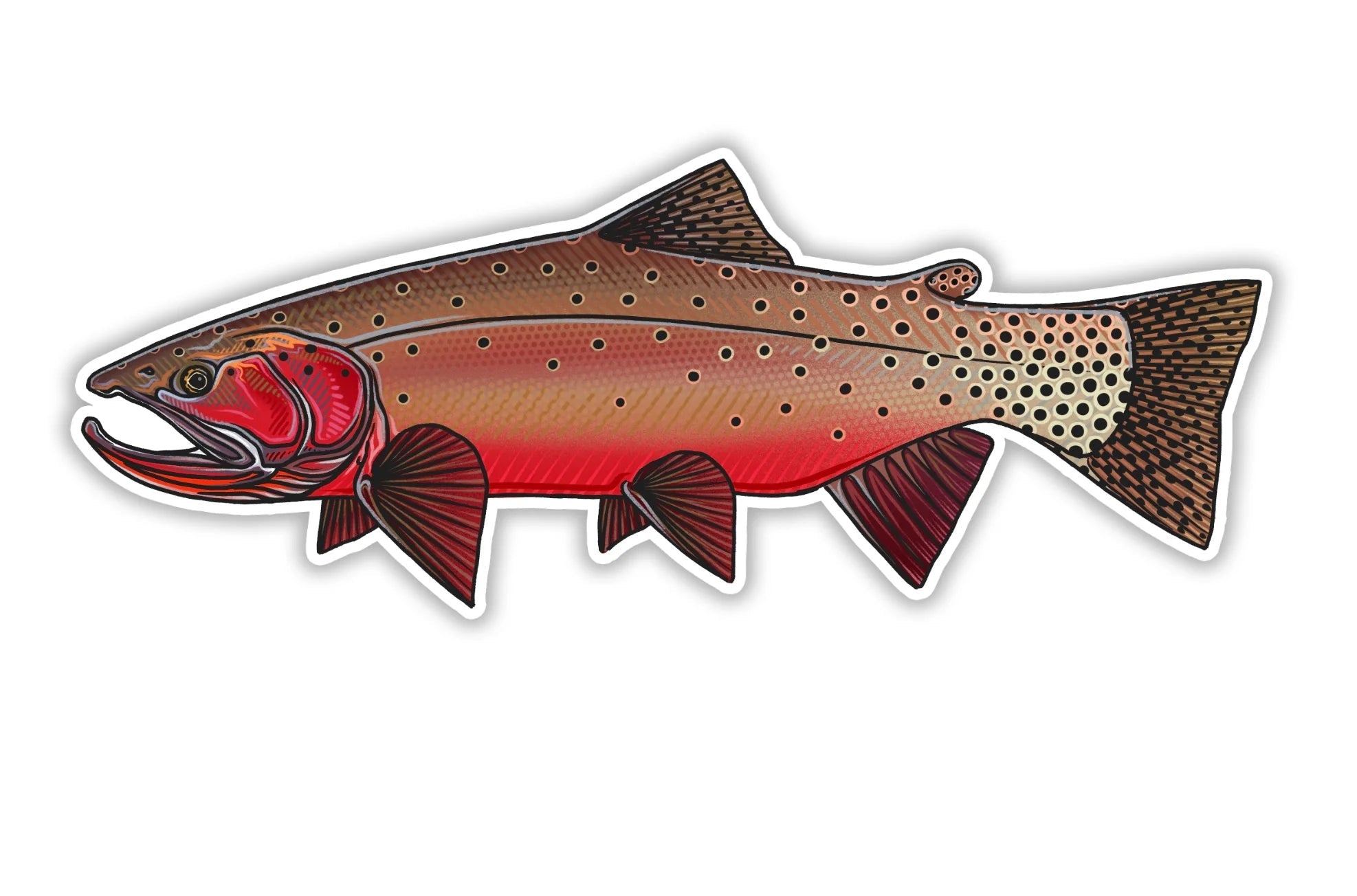 Casey Underwood Colorado River Cutthroat Decal | Tailwaters Fly Fishing