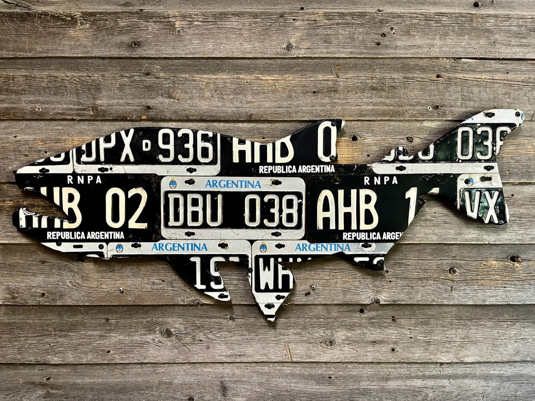 Argentina Golden Dorado License Plate Art | Tailwaters Fly Fishing