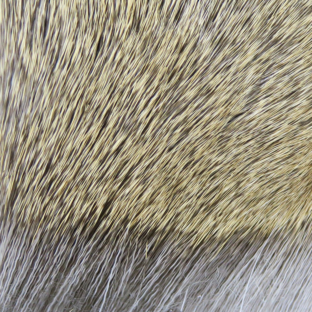 Hareline Dyed Deer Body Hair | Tailwaters Fly Fishing