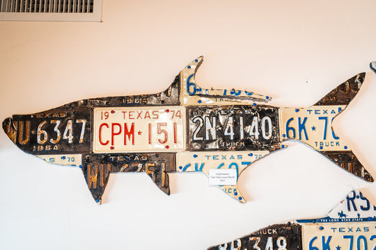 Cody Richardson Texas Tarpon License Plate Art