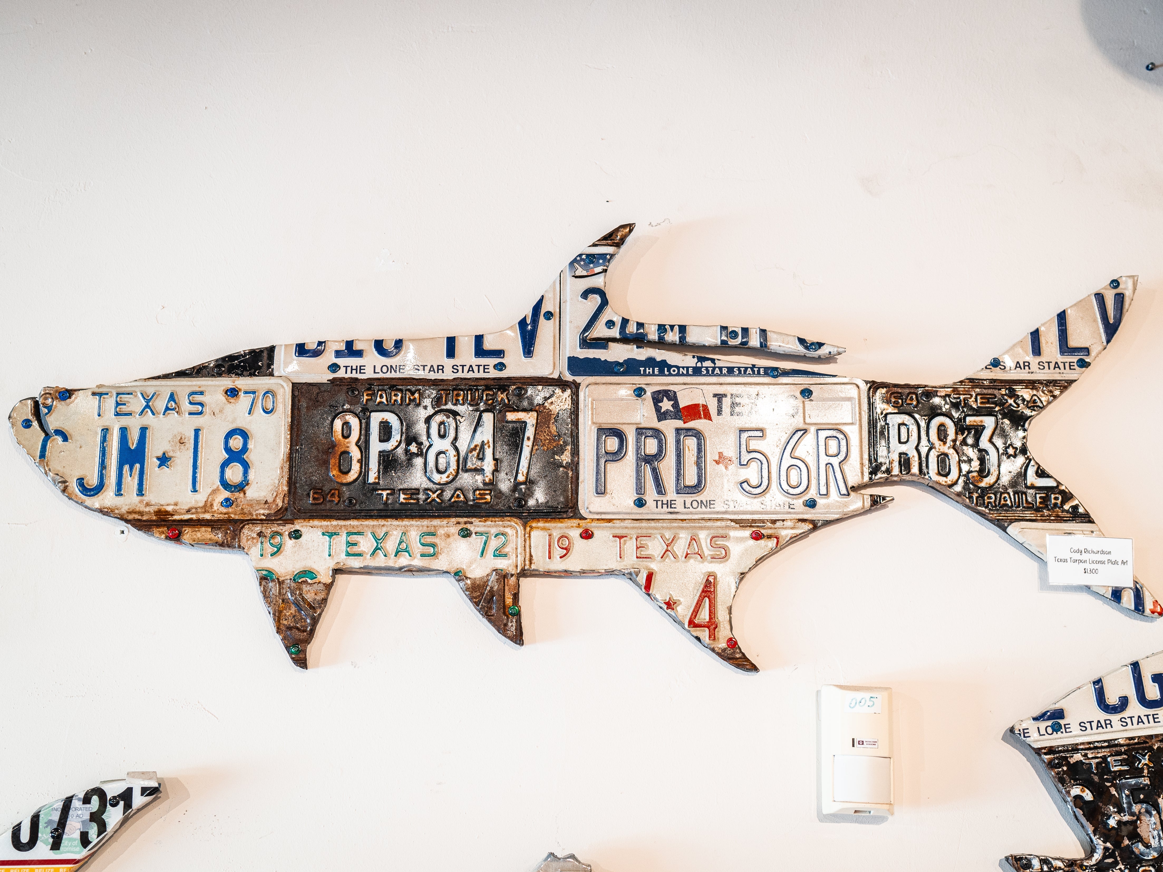 Cody Richardson Texas Tarpon License Plate Art