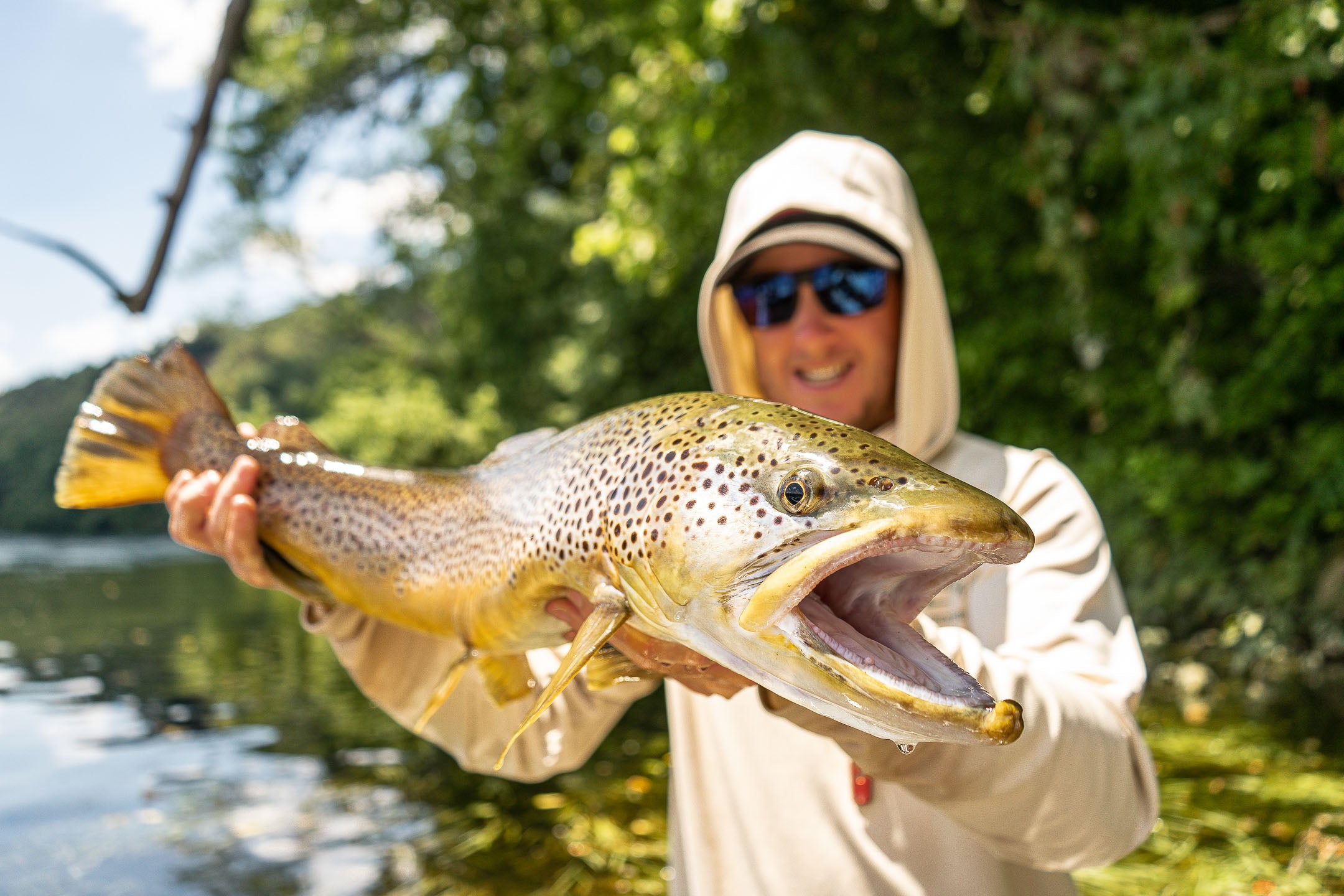 Roaring River Trout Fishing - ON THE FLY SOUTH
