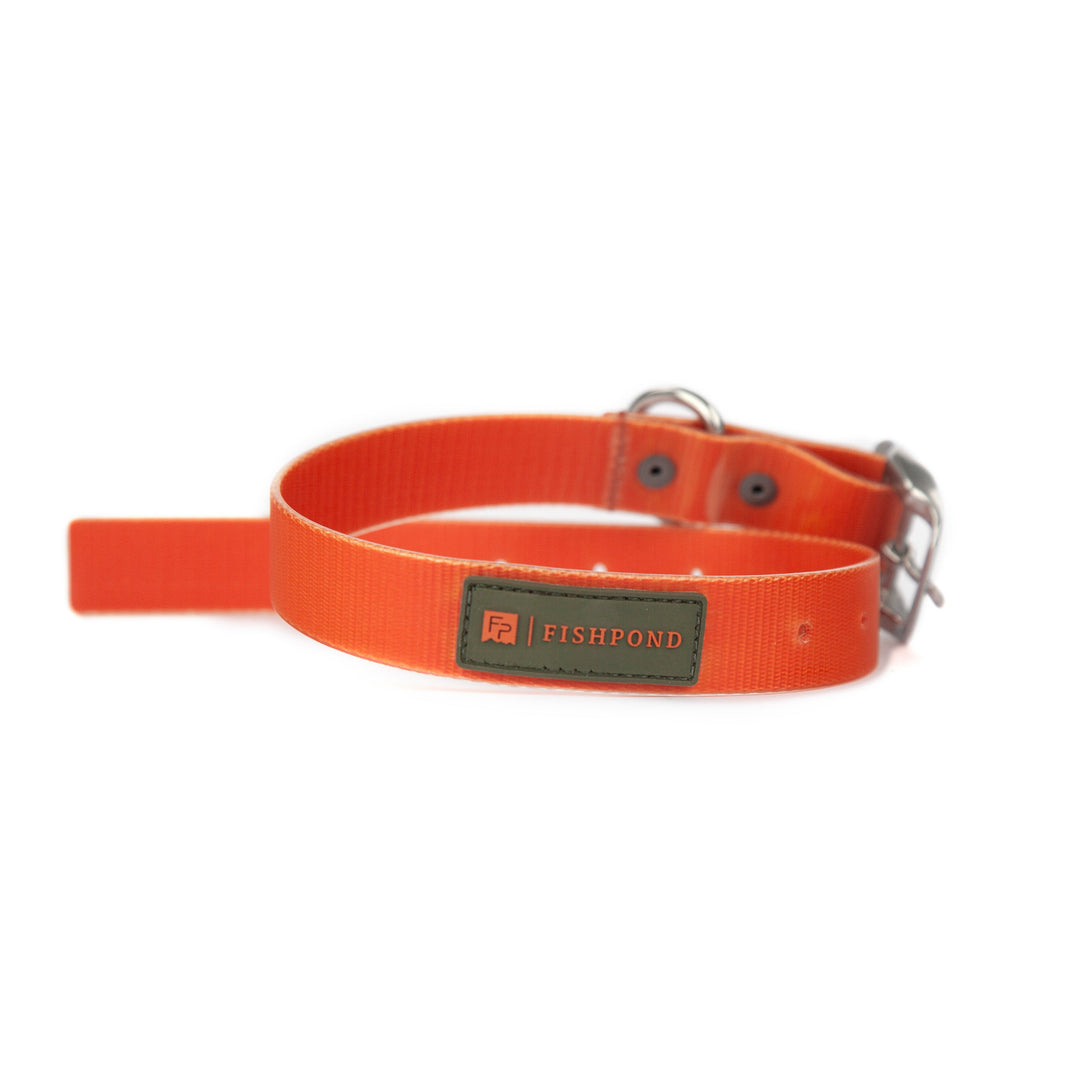 Fishpond Salty Dog Collar | Tailwaters Fly Fishing