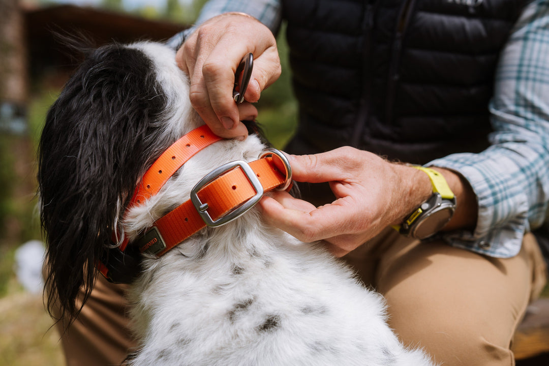 Fishpond Salty Dog Collar | Tailwaters Fly Fishing