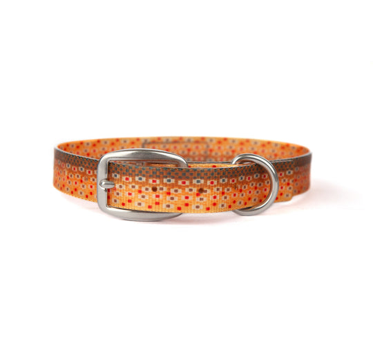 Fishpond Salty Dog Collar | Tailwaters Fly Fishing