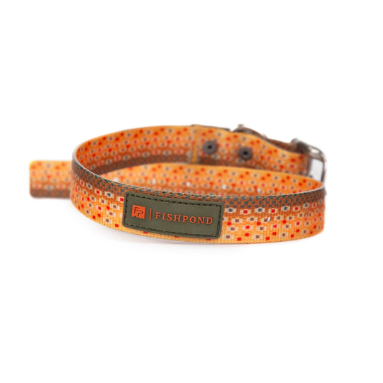 Fishpond Salty Dog Collar | Tailwaters Fly Fishing