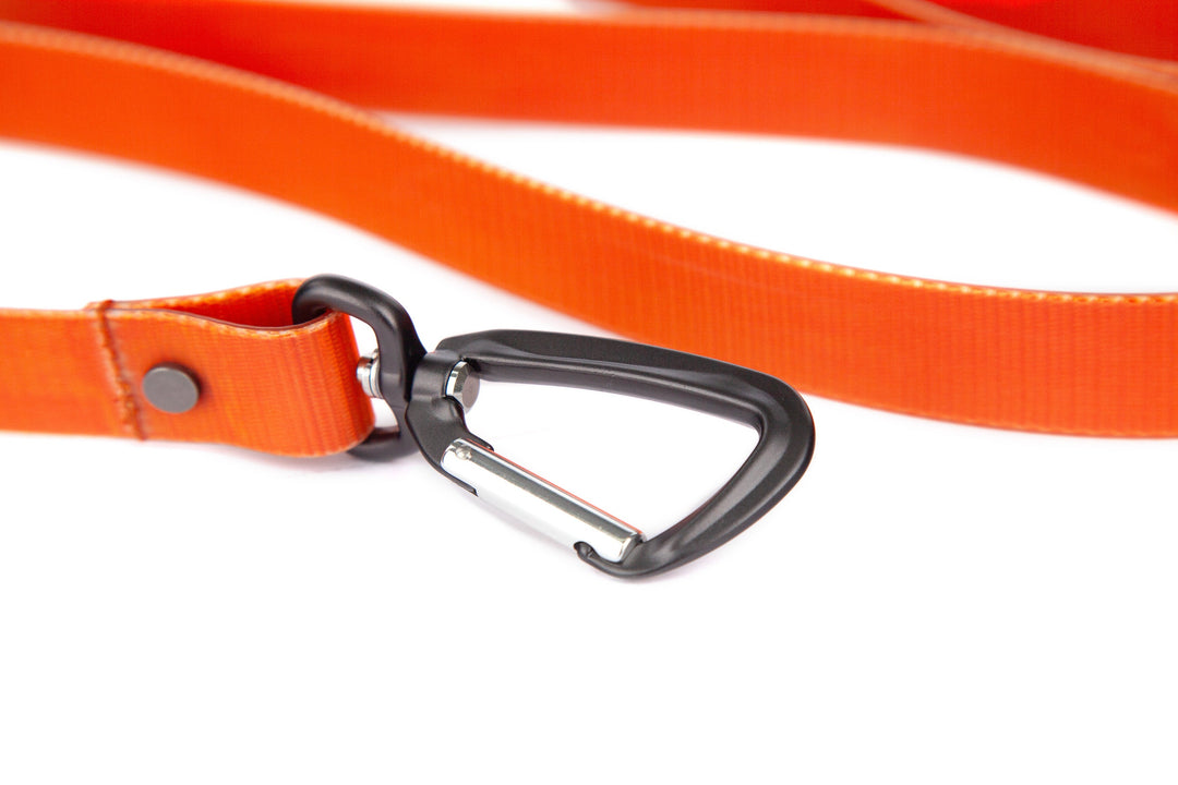 Fishpond Salty Dog Leash, Dog Leash, view 2