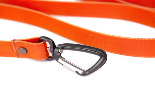 Fishpond Salty Dog Leash, Dog Leash, view 2