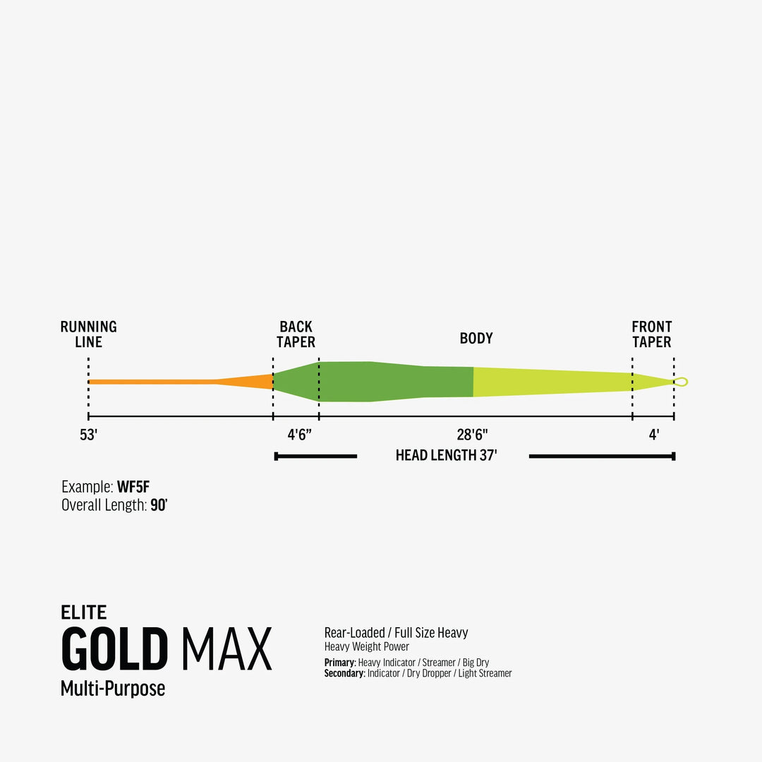 RIO Products Elite GOLD MAX Fly Line | Tailwaters Fly Fishing