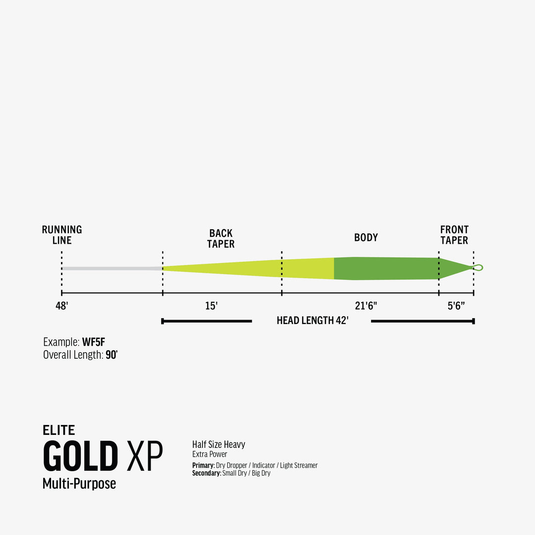 RIO Products Elite Gold XP Fly Line, view 6