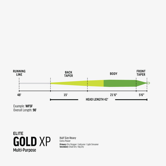 RIO Products Elite Gold XP Fly Line, view 6