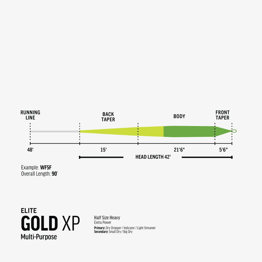 RIO Products Elite Gold XP Fly Line | Tailwaters Fly Fishing
