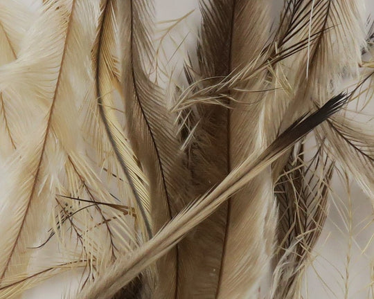 Hareline Emu Feathers | Tailwaters Fly Fishing