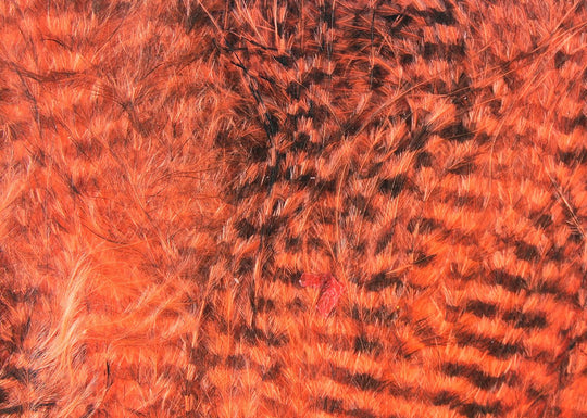 Hareline Fine Black Barred Marabou Feathers
