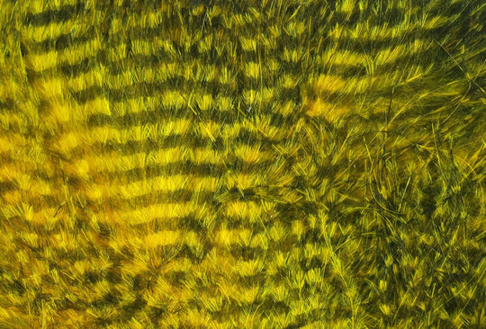 Hareline Fine Black Barred Marabou Feathers