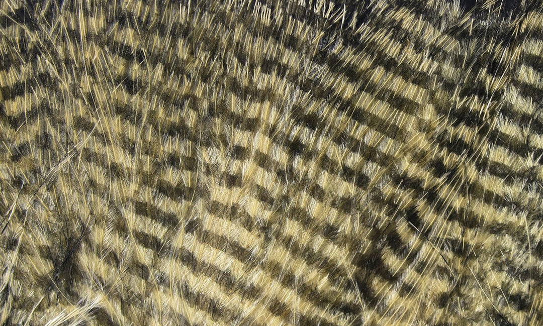 Hareline Fine Black Barred Marabou Feathers | Tailwaters Fly Fishing