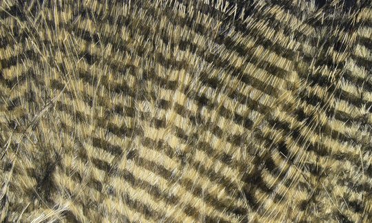 Hareline Fine Black Barred Marabou Feathers | Tailwaters Fly Fishing