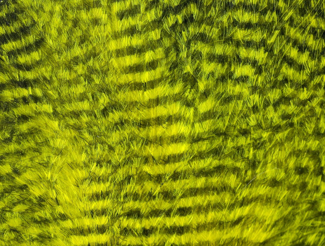 Hareline Fine Black Barred Marabou Feathers