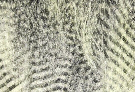 Hareline Fine Black Barred Marabou Feathers