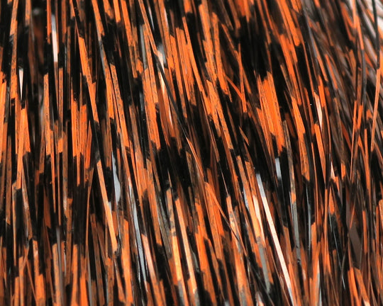 Hareline Grizzly Barred Flashabou