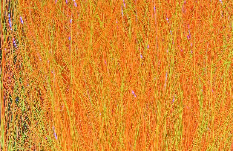 Hareline Frenzy Fiber | Tailwaters Fly Fishing