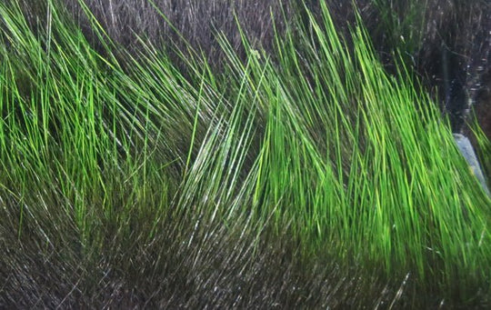 Hareline Frostip Rabbit Strips | Tailwaters Fly Fishing