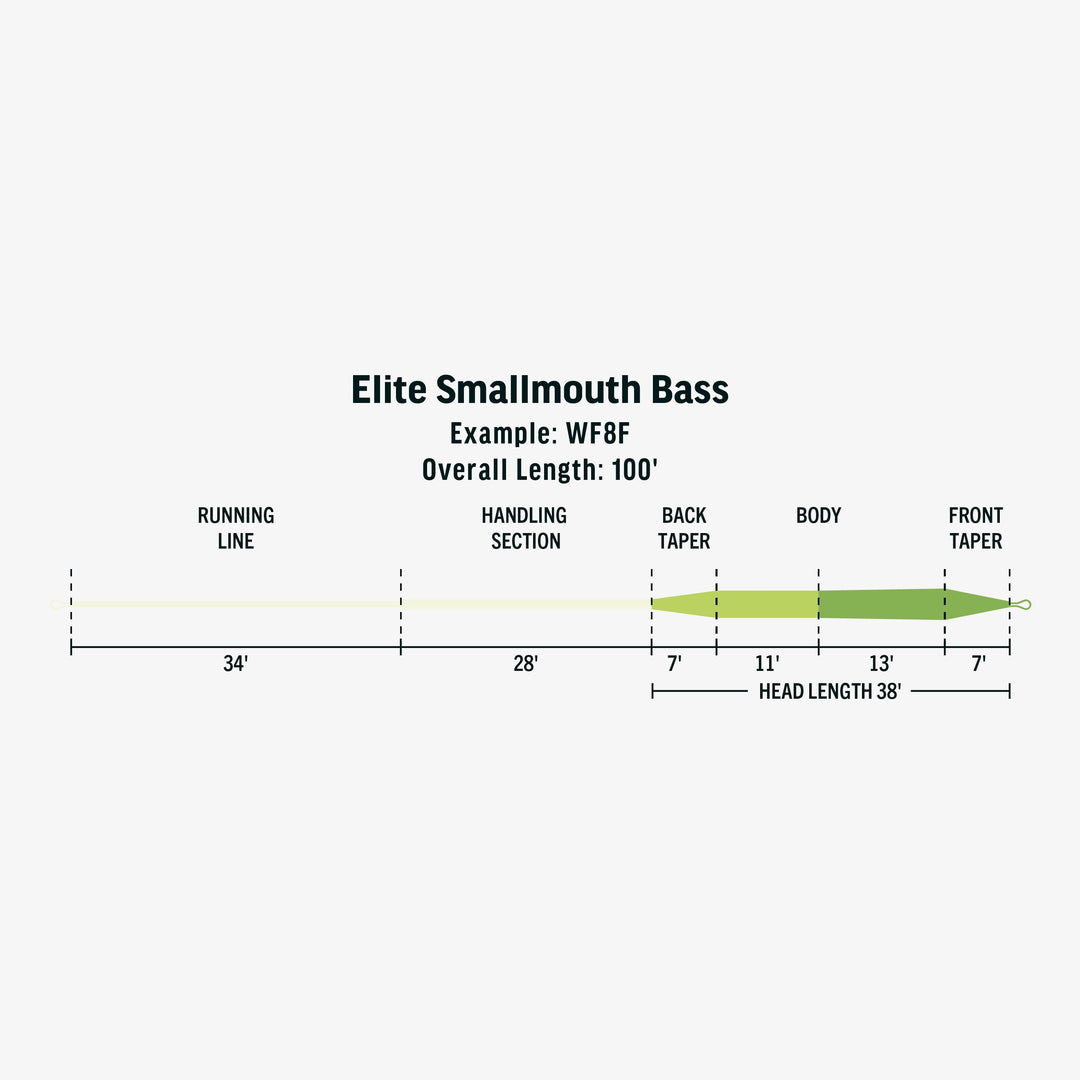 Rio Products Elite Smallmouth Bass Fly Line, Taper, view 2