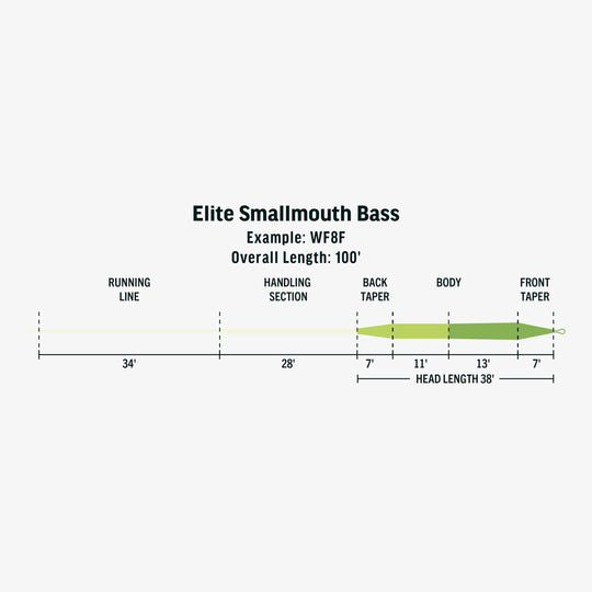 Rio Products Elite Smallmouth Bass Fly Line, Taper, view 2