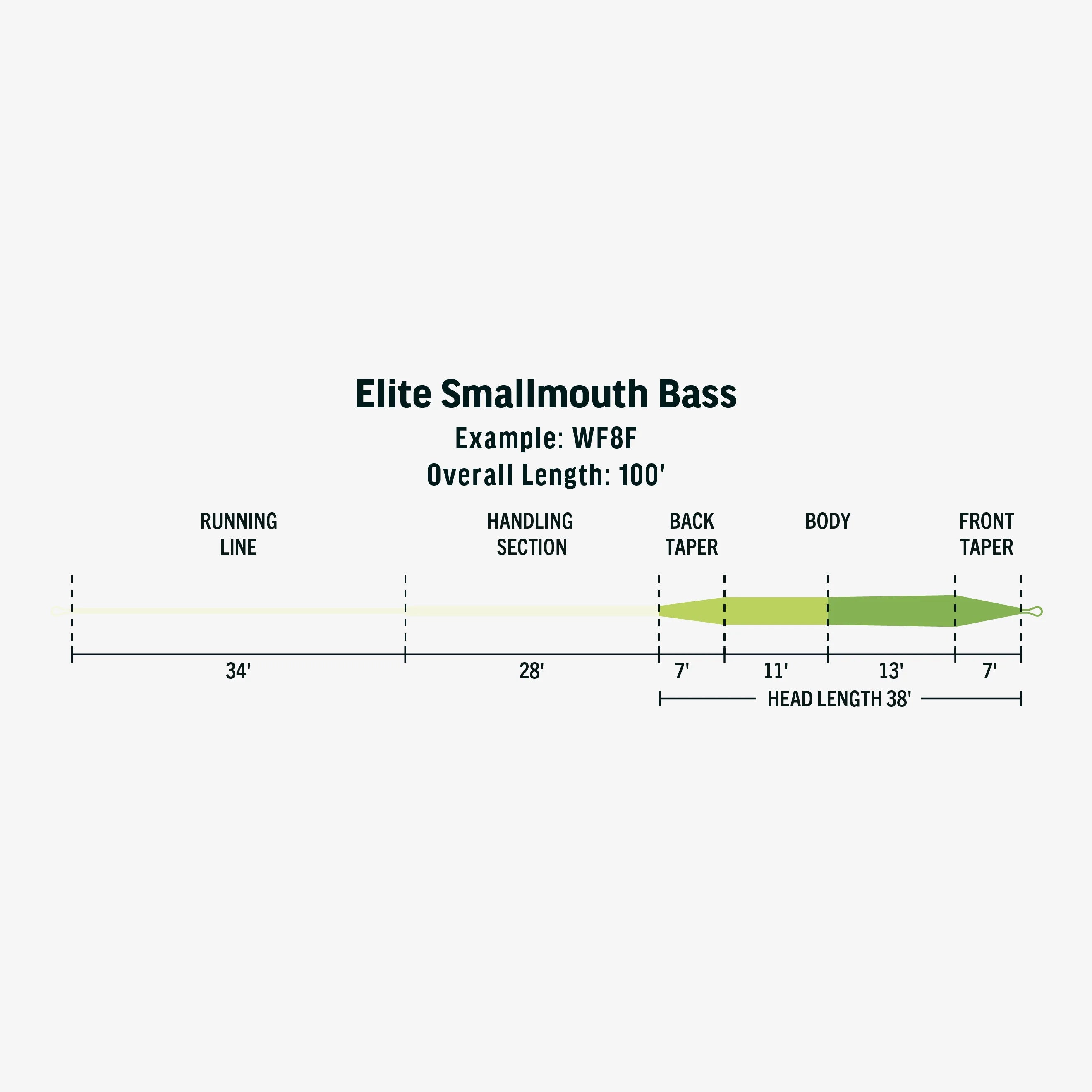 Rio Products Elite Smallmouth Bass