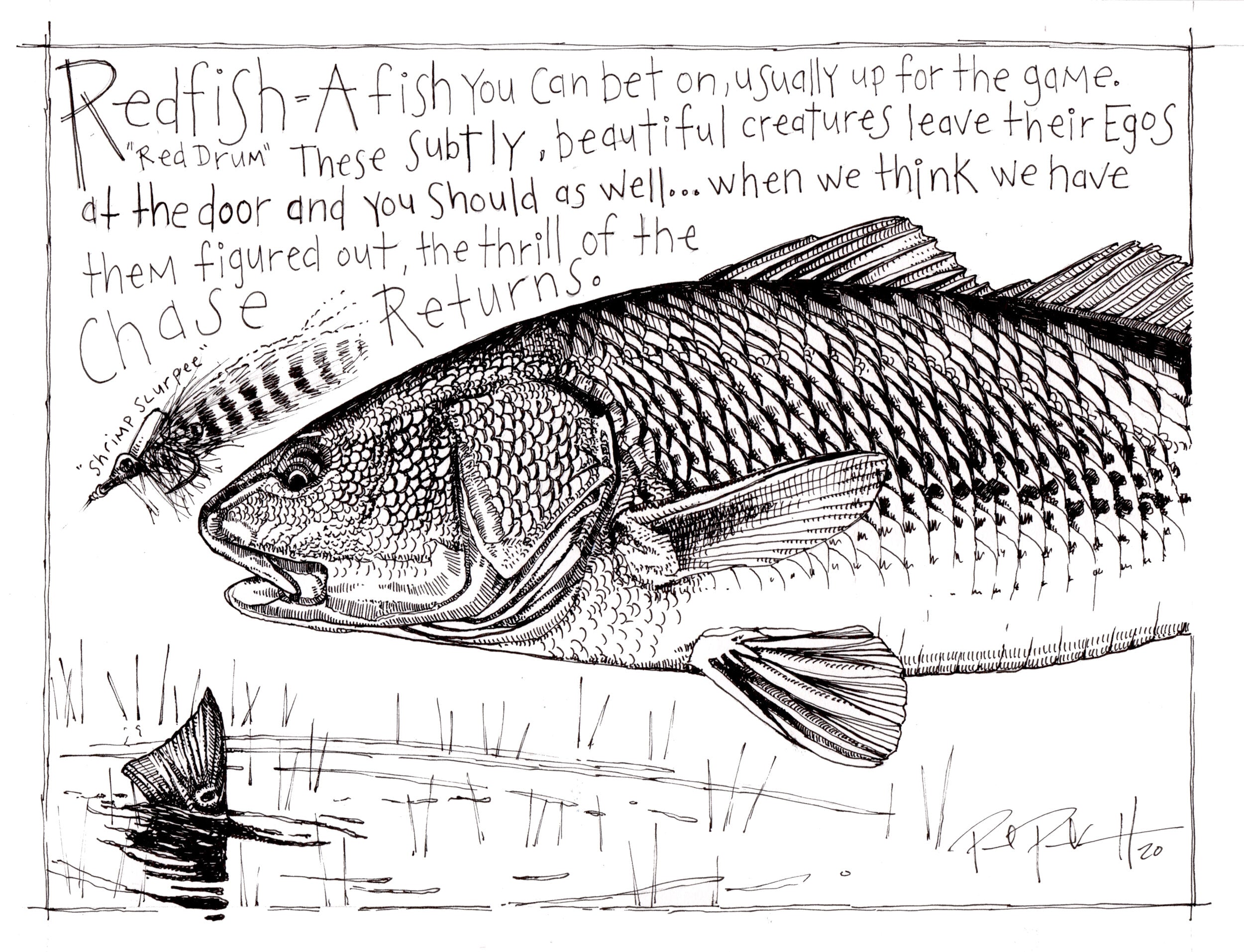 Paul Puckett Art Redfish Field Notes – Tailwaters Fly Fishing