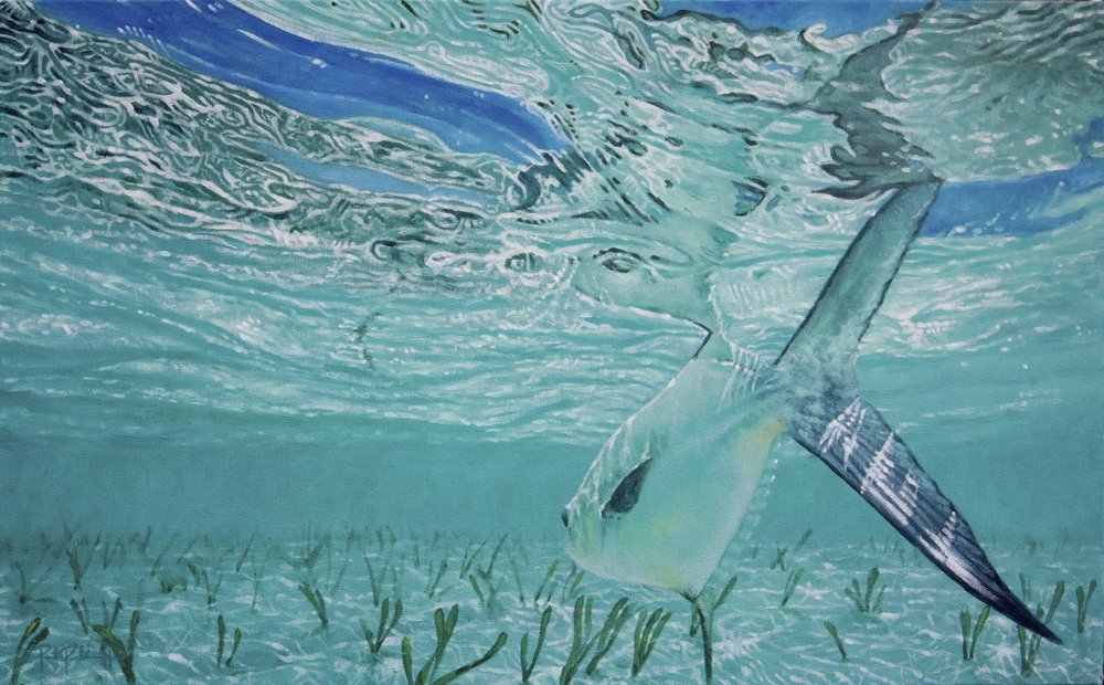 Paul Puckett Art Flats Patroller | Tailwaters Fly Fishing