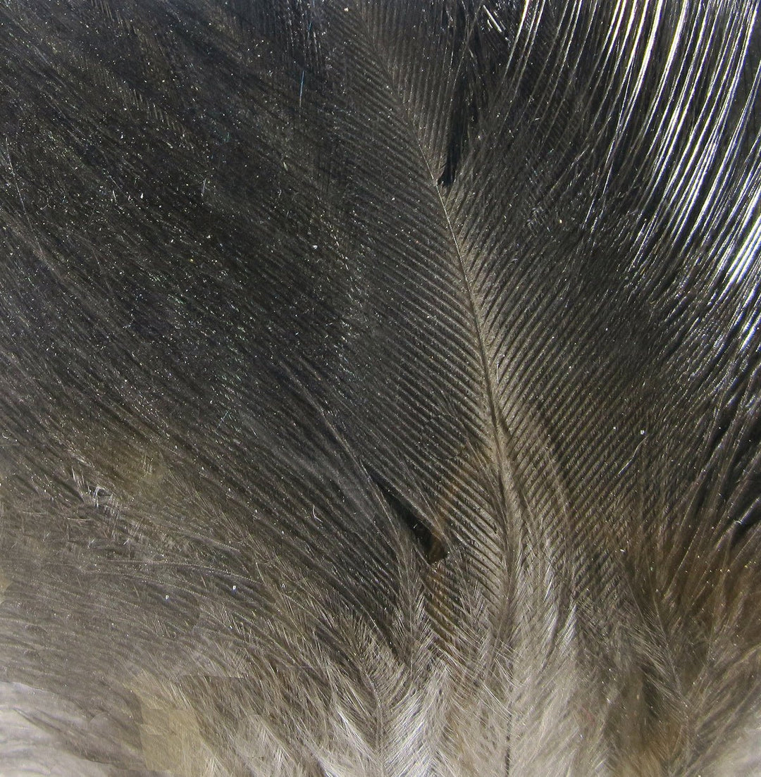 Hareline Gallo De Leon Saddle Feathers | Tailwaters Fly Fishing