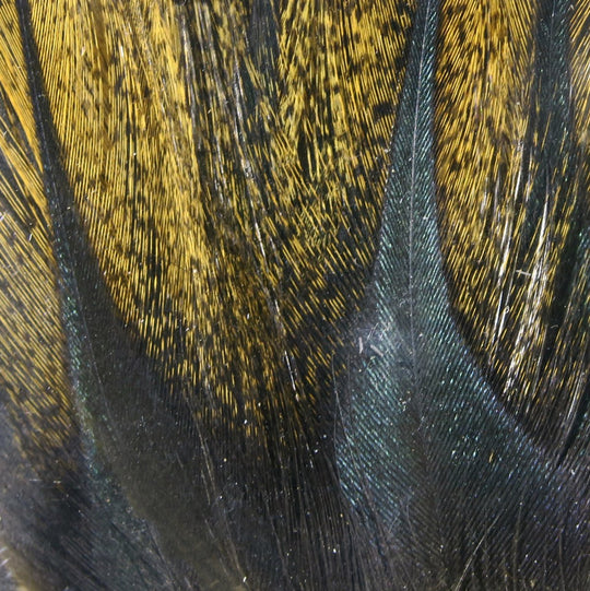 Hareline Gallo De Leon Saddle Feathers | Tailwaters Fly Fishing
