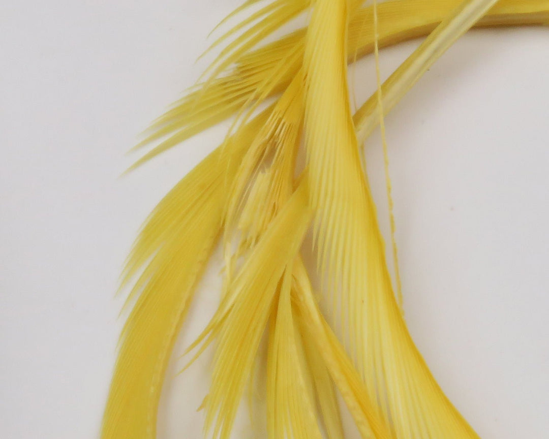 Hareline UV2 Goose Biots | Tailwaters Fly Fishing