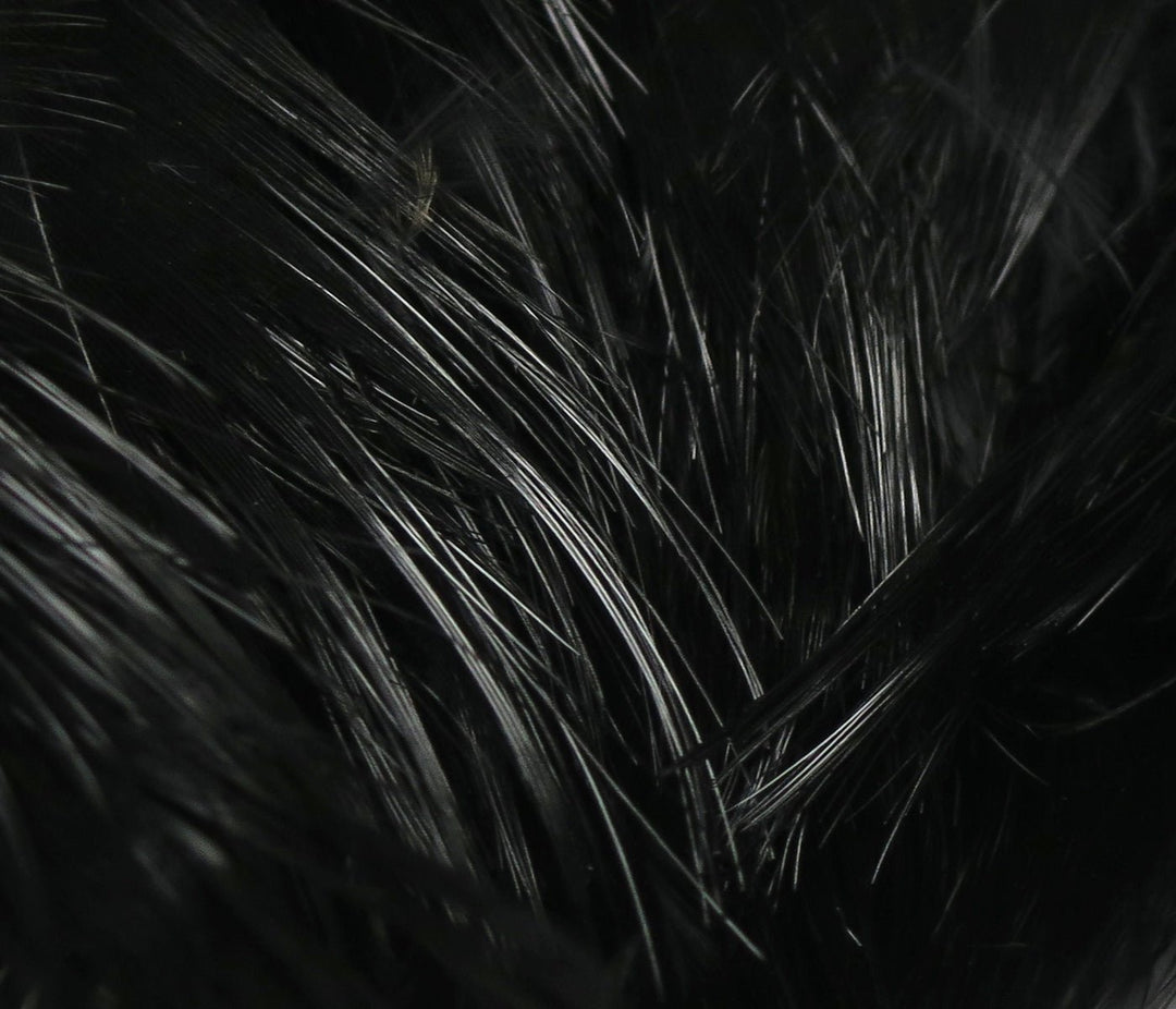 Hareline Golden Pheasant Body Feathers | Tailwaters Fly Fishing