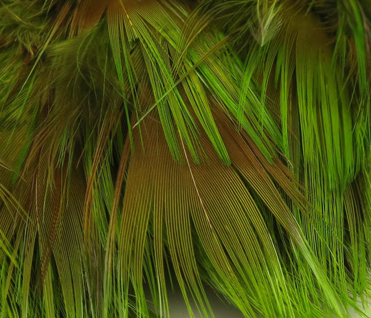 Hareline Golden Pheasant Body Feathers | Tailwaters Fly Fishing