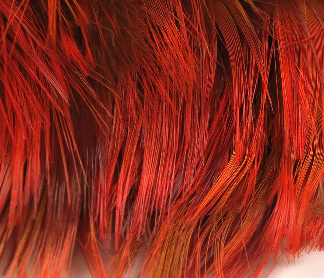 Hareline Golden Pheasant Body Feathers