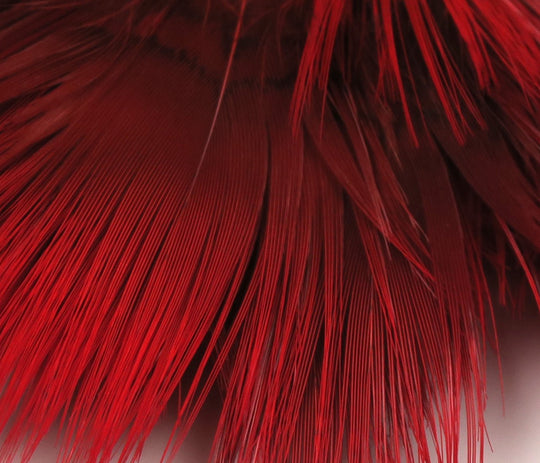 Hareline Golden Pheasant Body Feathers