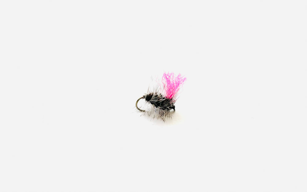 GRIFFITH GNAT | Tailwaters Fly Fishing